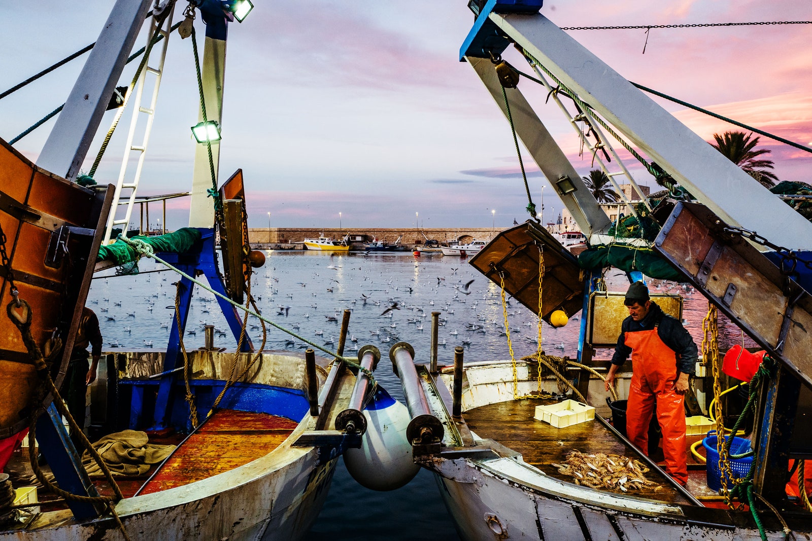 Trawling Boats Are Hauling Up Ancient Carbon From the Ocean Depths